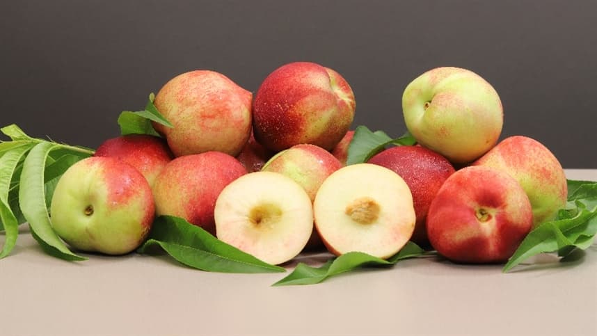 Chegaram ao mercado as novas variedades de nectarinas