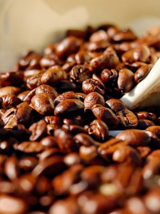 Preços do café seguem firmes impulsionados pela valorização do dólar