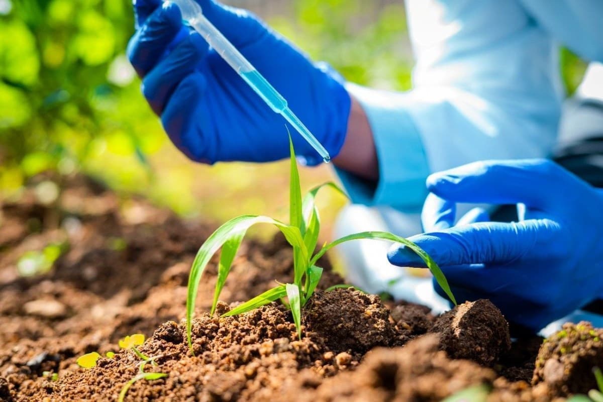 Entidades exigem revisão do decreto sobre bioinsumos antes da publicação