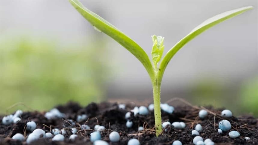 Debate sobre Produção Nacional de Fertilizantes Foca na Eficiência de Uso