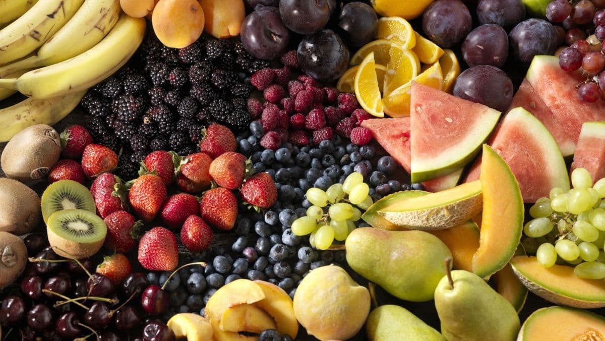 Exportação de frutas brasileiras alcança R$ 60 milhões em evento