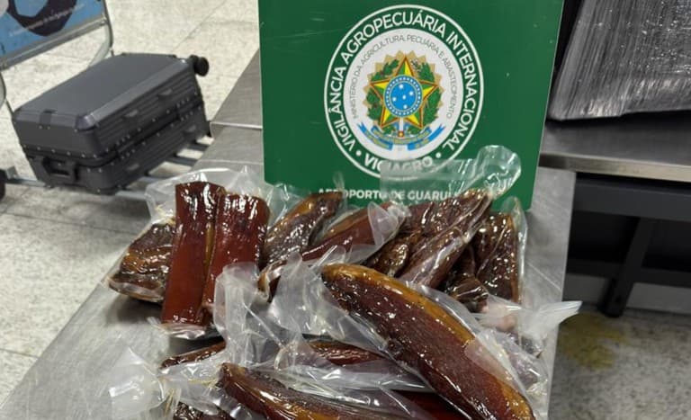 Vigiagro apreende 3 toneladas de produtos irregulares em Guarulhos