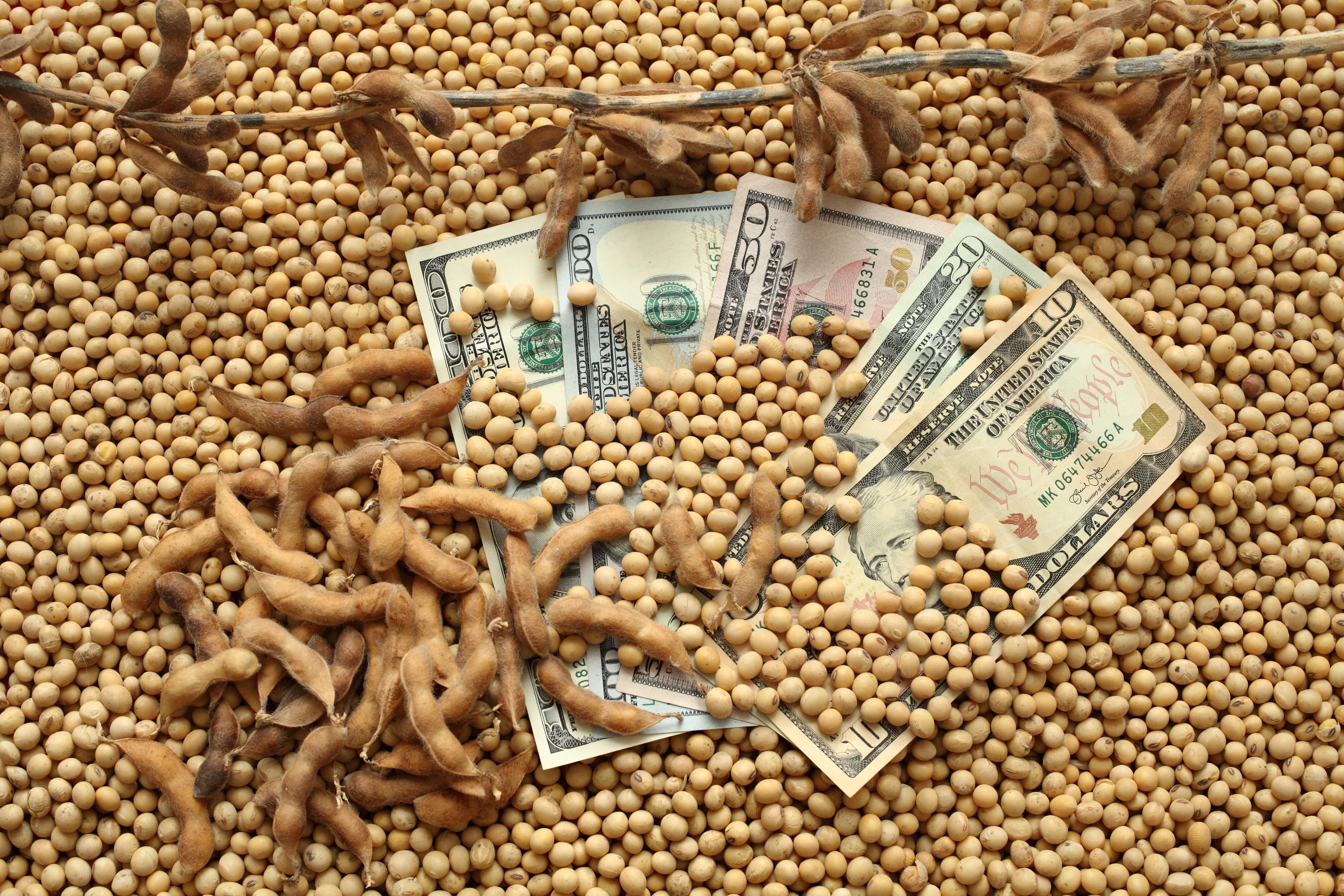 Mercado de commodities agrícolas em Chicago com pouca variação