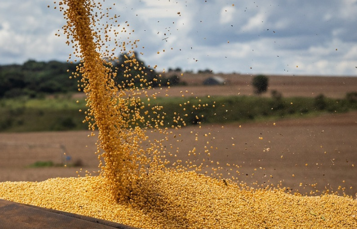 Safra de grãos 2026/27 deve enfrentar desafios externos