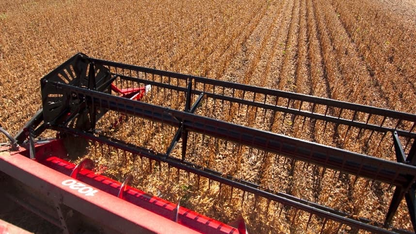 Queda do IICP e IIPR: Farsul destaca desafios da inflação no agronegócio