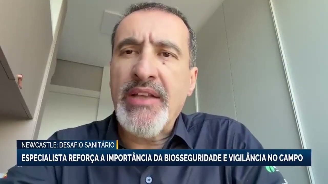 Biosseguridade é essencial para proteção da avicultura e suinocultura no Brasil