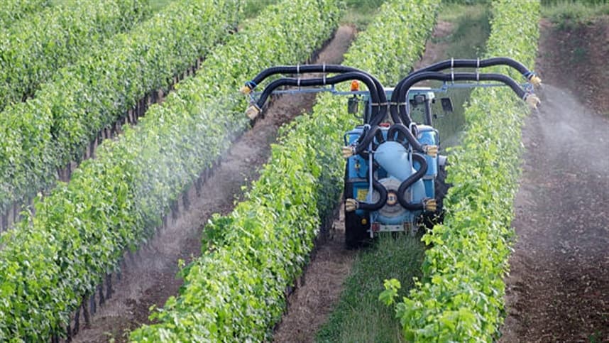 Brasil aprova polêmica lei sobre uso de pesticidas