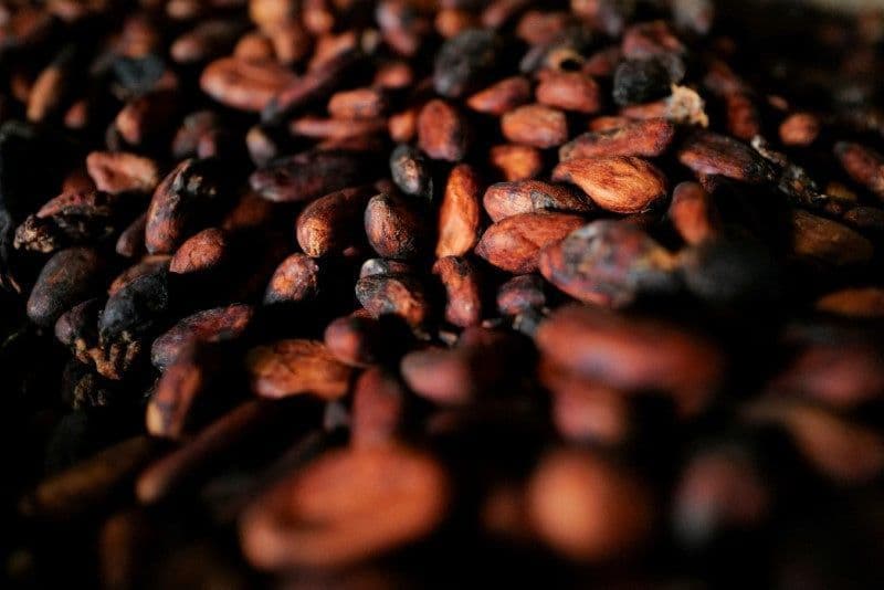 Estreito de Ormuz impacta preços do cacau e commodities agrícolas
