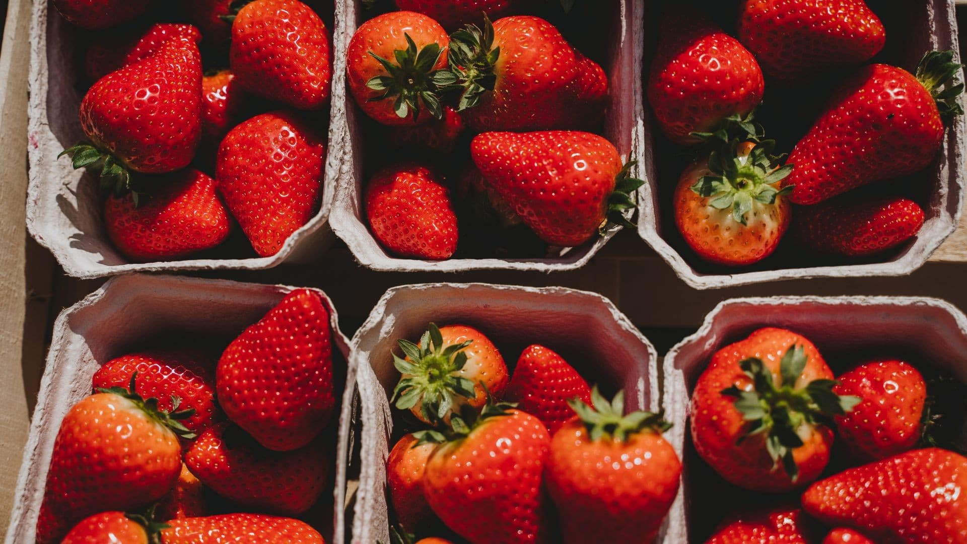 Nova norma padroniza morangos e gera polêmica entre produtores