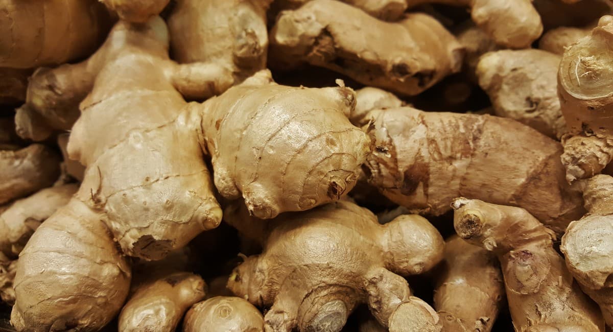 Câmara aprova Política Nacional de Incentivo ao Gengibre