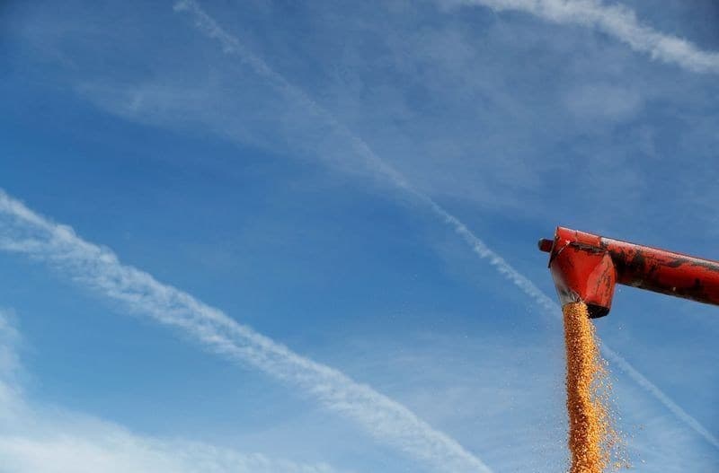 USDA aponta queda na qualidade de milho e soja em relatório