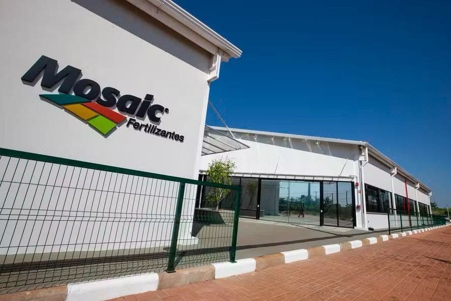 Mosaic prevê queda de 30% na aplicação de fertilizantes fósforo