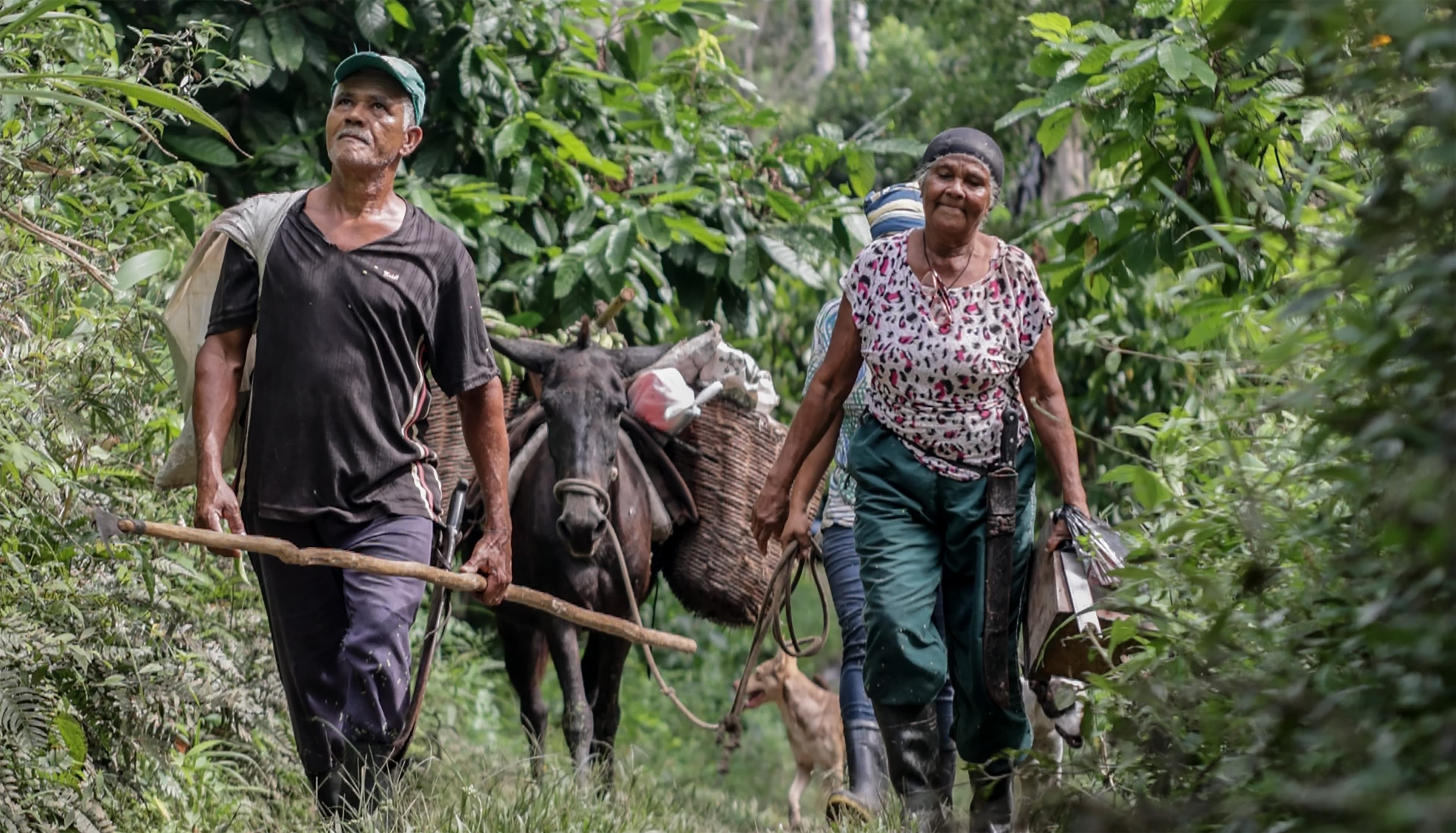 Banco da América Latina destaca potencial do meio rural para a economia