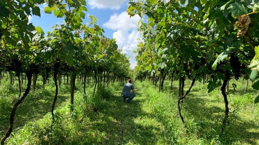 Emater Goiás destaca turismo rural na Tecnoshow Comigo 2026