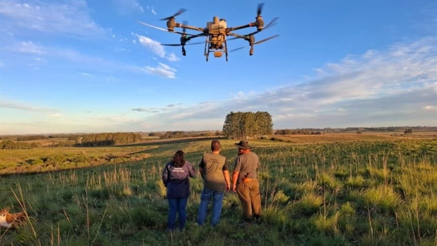 Bioproduto controlará carrapatos bovinos com uso de drones