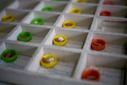 Medicalização da Geração Z: Um Crescimento Bilionário em Tratamentos Psiquiátricos