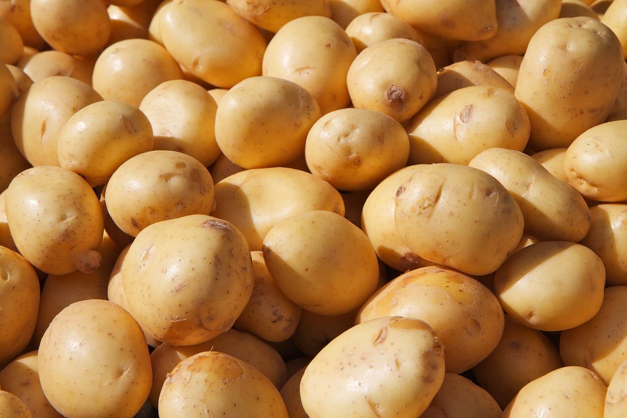 Preços das hortaliças sobem, destacando batata e tomate em maio