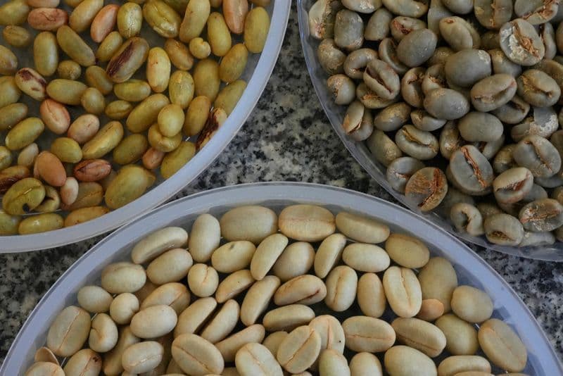 Vietnã registra aumento nas exportações de café, mas receita cai 7%