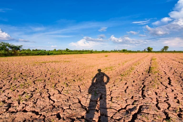 Riscos à saúde de trabalhadores rurais aumentam devido a eventos climáticos