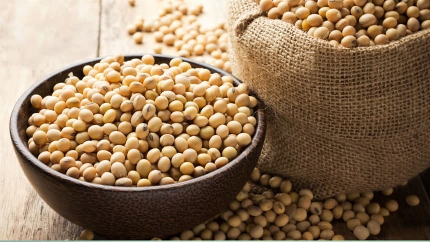 Mercado internacional de soja oscila com fatores técnicos e climáticos