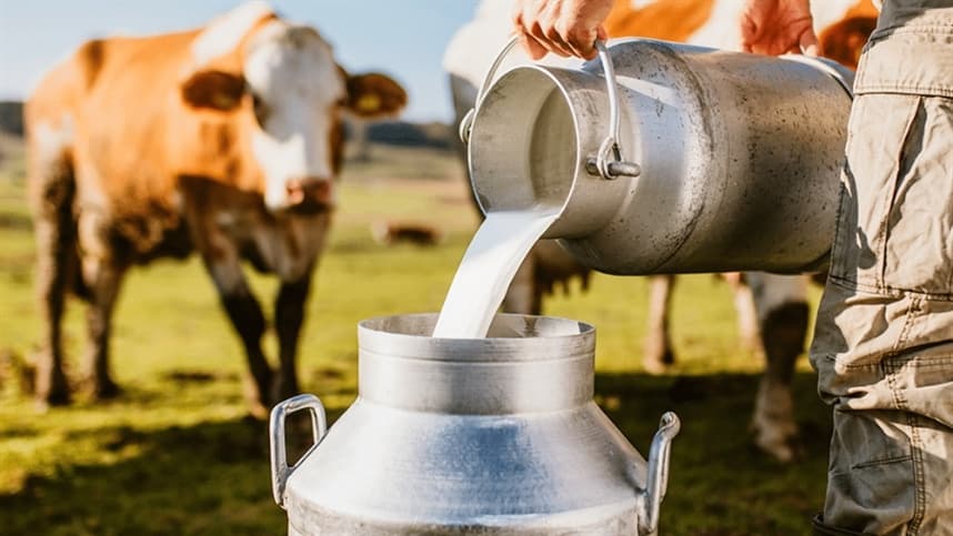 CNA revela alta nos custos de alimentação em pecuária leiteira