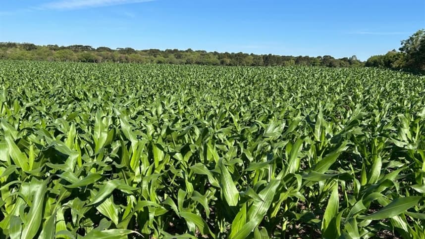 Agrishow 2026 introduz inovações em defensivos agrícolas