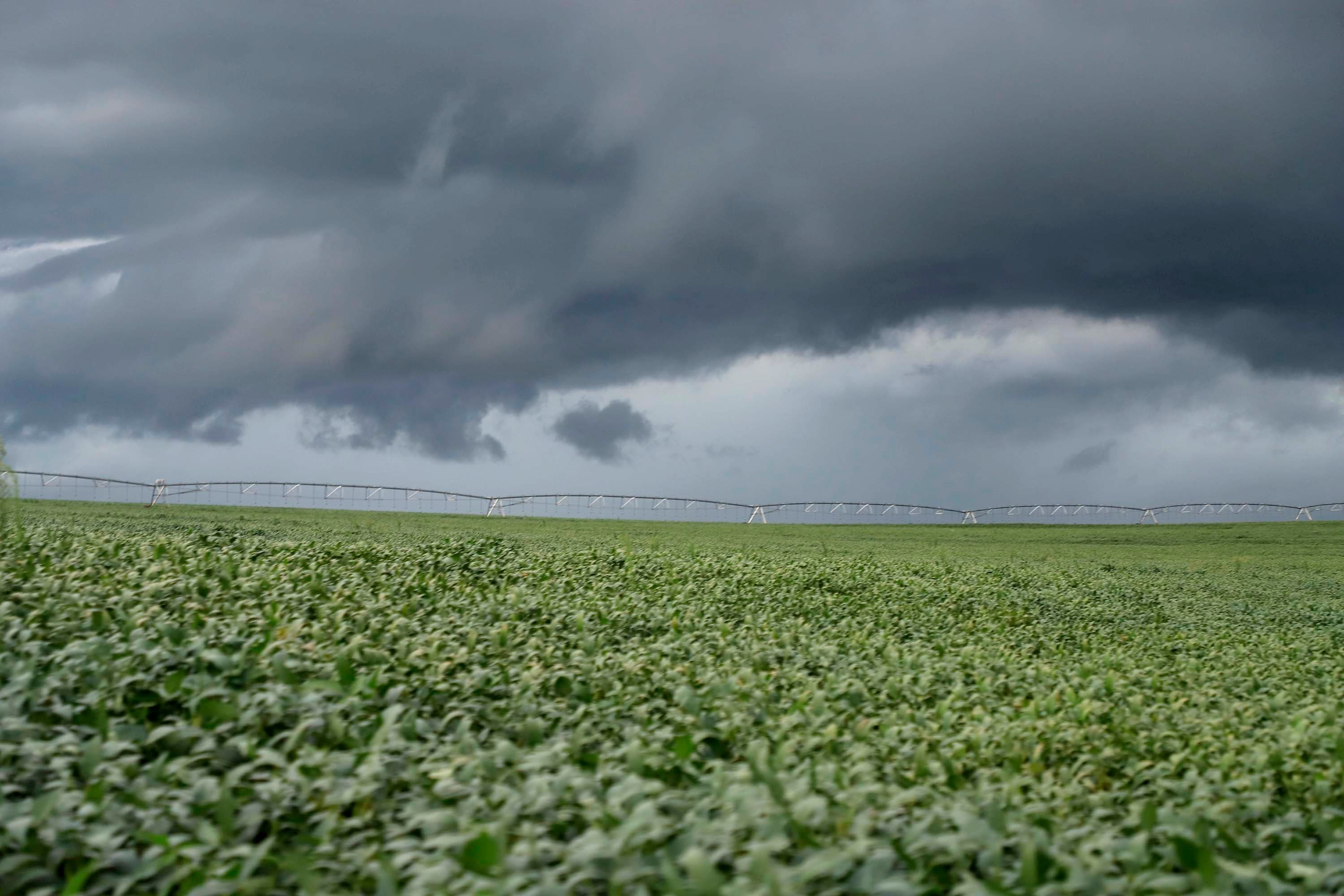 Outubro inicia com influência do El Niño e mudanças climáticas no Brasil