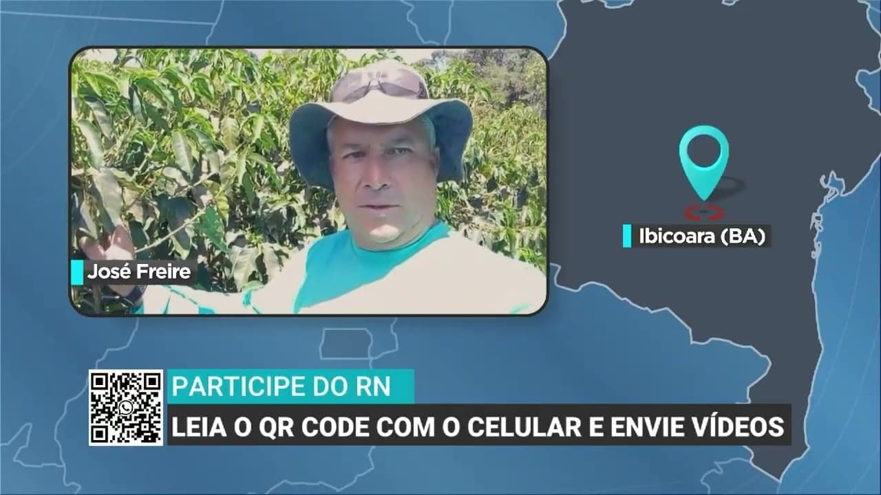 Caficultores na Bahia enfrentam desafios devido a clima irregular