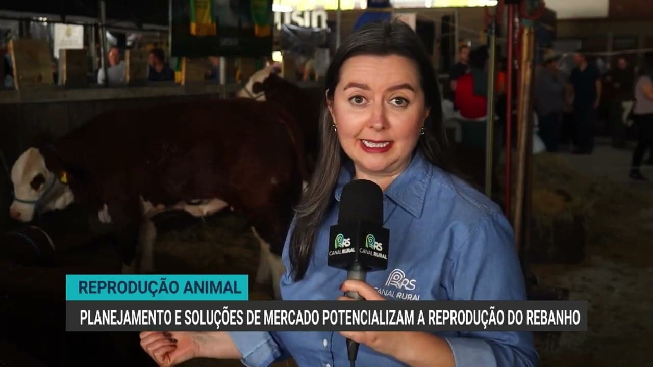 Expo Inter destaca genética bovina para fortalecer pecuária gaúcha