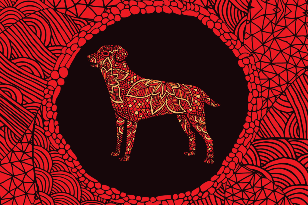 Conheça as características do signo Cachorro no Horóscopo Chinês
