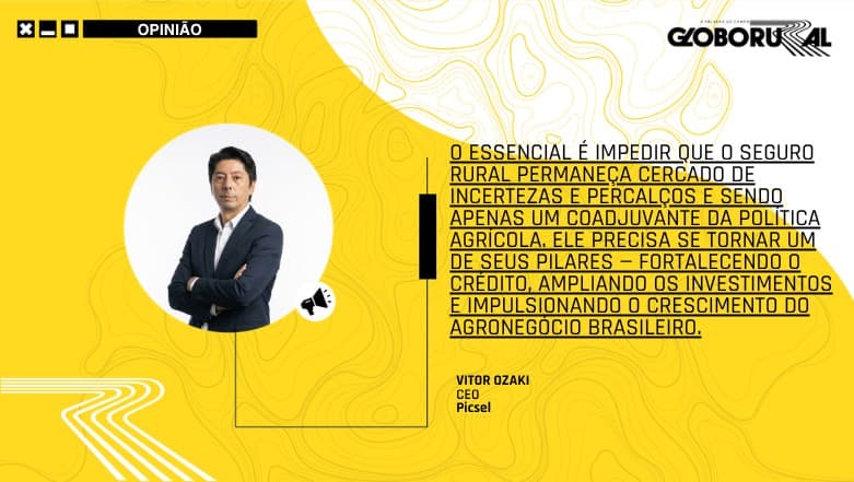 Seguro rural é fundamental para estabilidade do agronegócio brasileiro