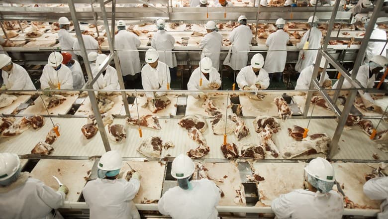 Trump investiga gigantes da carne e aponta anticompetitividade