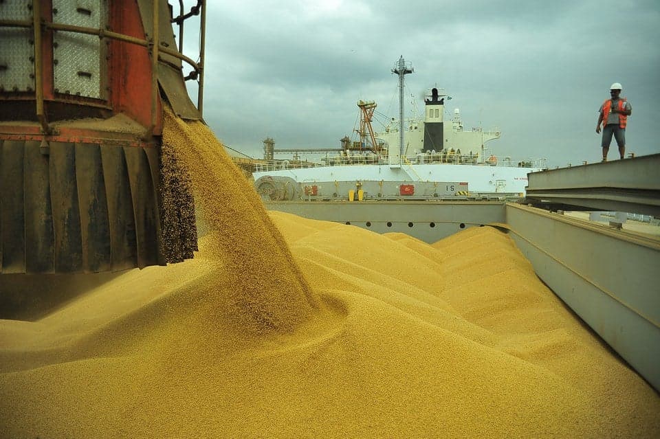 Produção de soja em Mato Grosso deve cair 5,19% com risco de El Niño