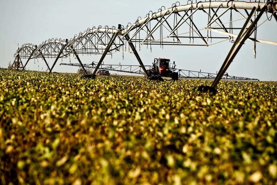 Desvio de 17,4% do crédito rural para soja impacta agricultores