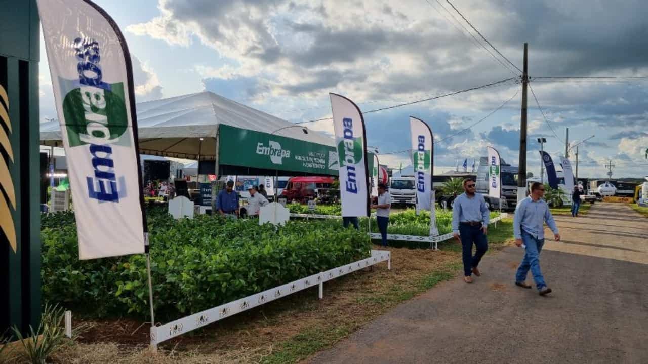 Embrapa destaca inovações agrícolas na TecnoShow Comigo 2026