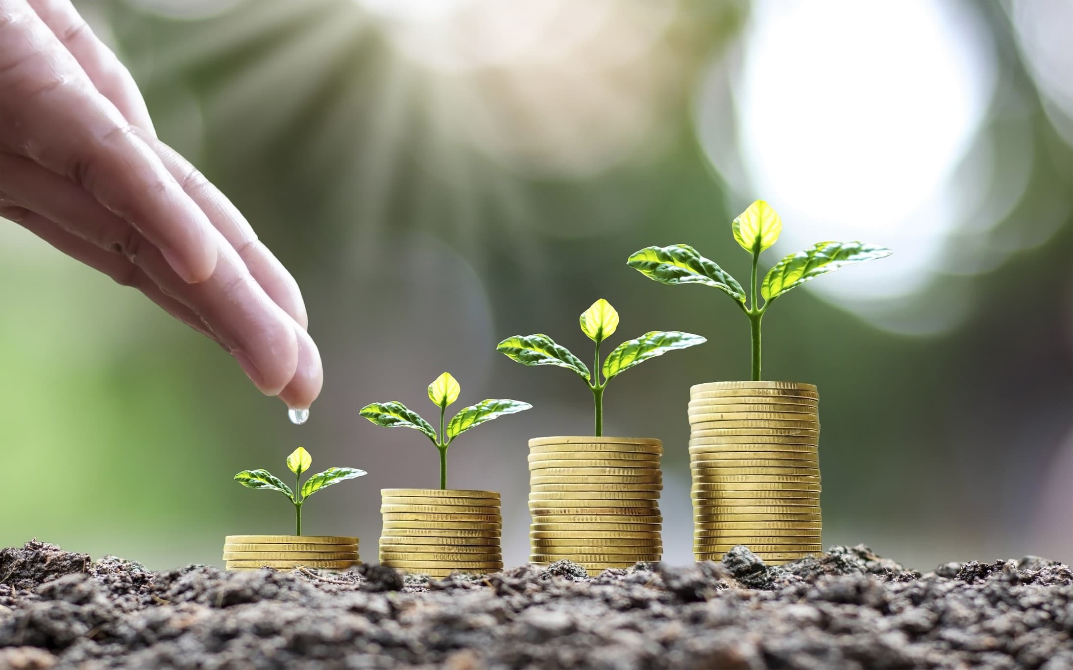 Ministério da Agricultura firma parceria com a CVM para setor agro