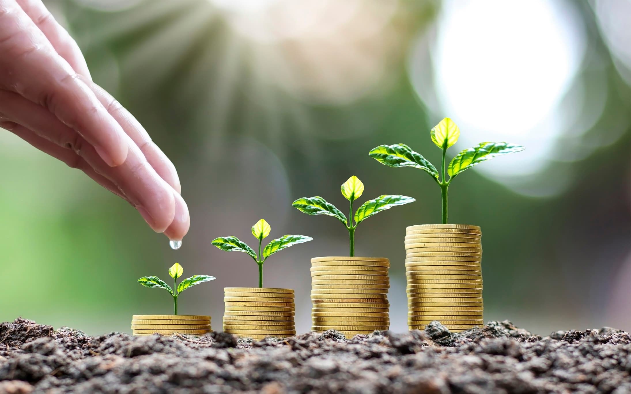 Cooperativas de Crédito se Destacam no Financiamento Rural em 2026