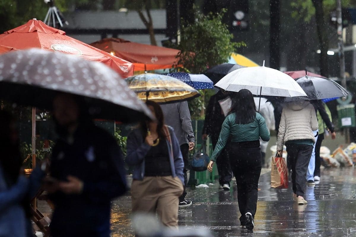 São Paulo registra chuva e temperaturas amenas nesta terça-feira
