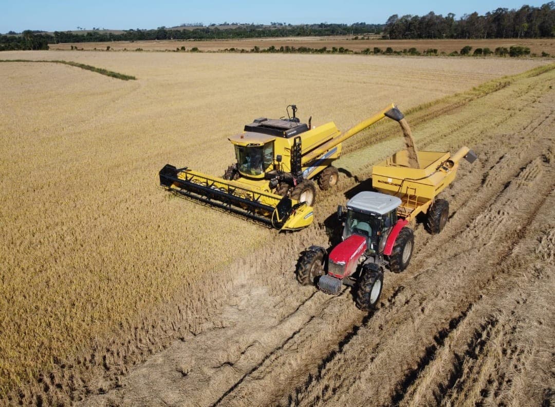 Setor privado busca soluções para dívidas agrícolas no Brasil