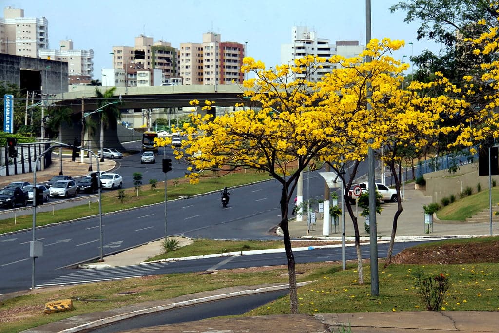 Centro-Oeste registra calor intenso e possibilidade de chuvas isoladas neste feriado