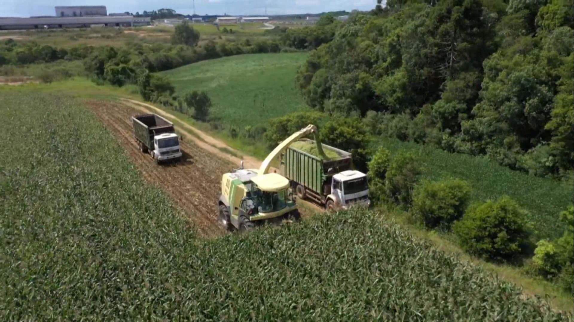 Edson Poppi alerta sobre cuidados na silagem para o setor pecuário
