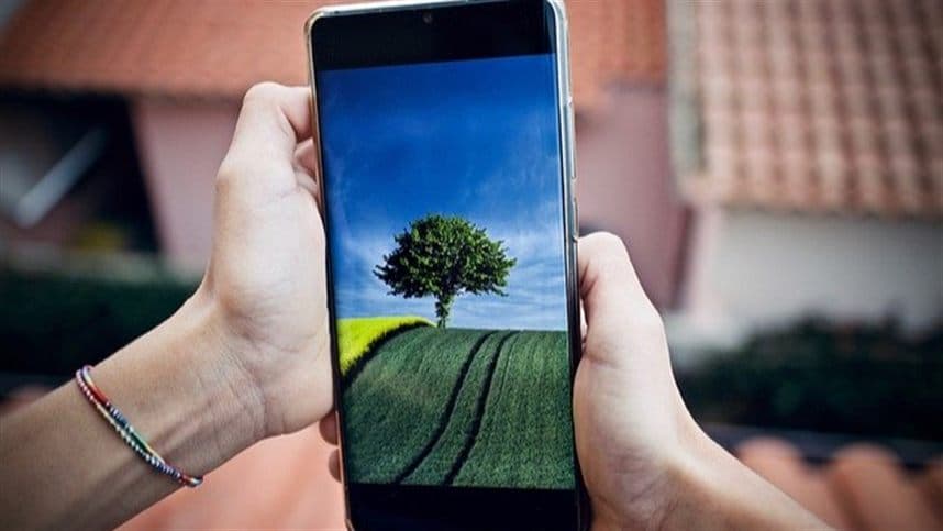 Eficiência no campo: tecnologia e dados transformam a agricultura