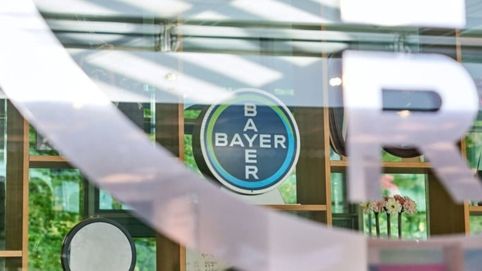 Bayer lança Programa de Trainee 2027 com foco em talentos negros