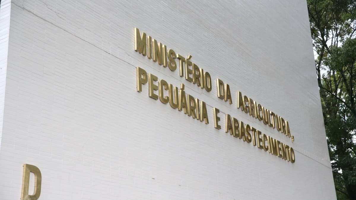 China suspende importações de carne de frango de Santa Catarina