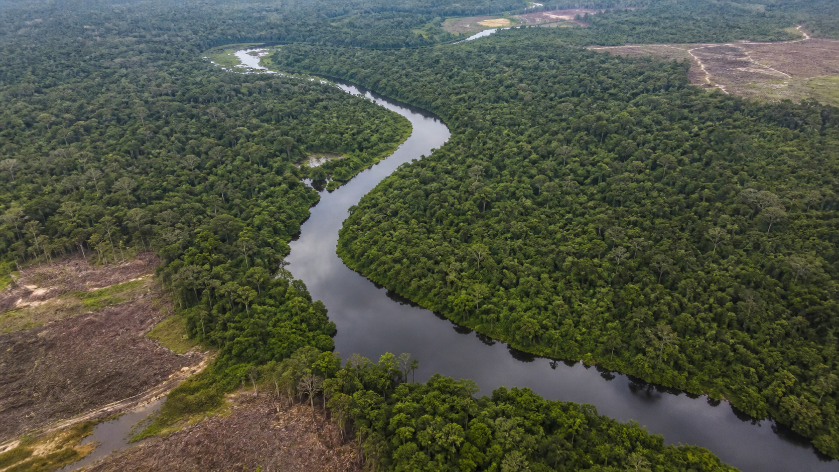 Desmatamento na Amazônia cai 61,4% em maio de 2026