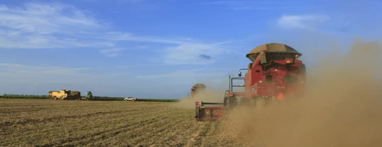Setor agrícola enfrenta desafios financeiros e busca apoio do governo