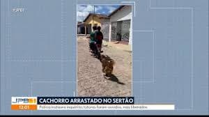 Investigação sobre caso de cachorro arrastado em Sertão avança
