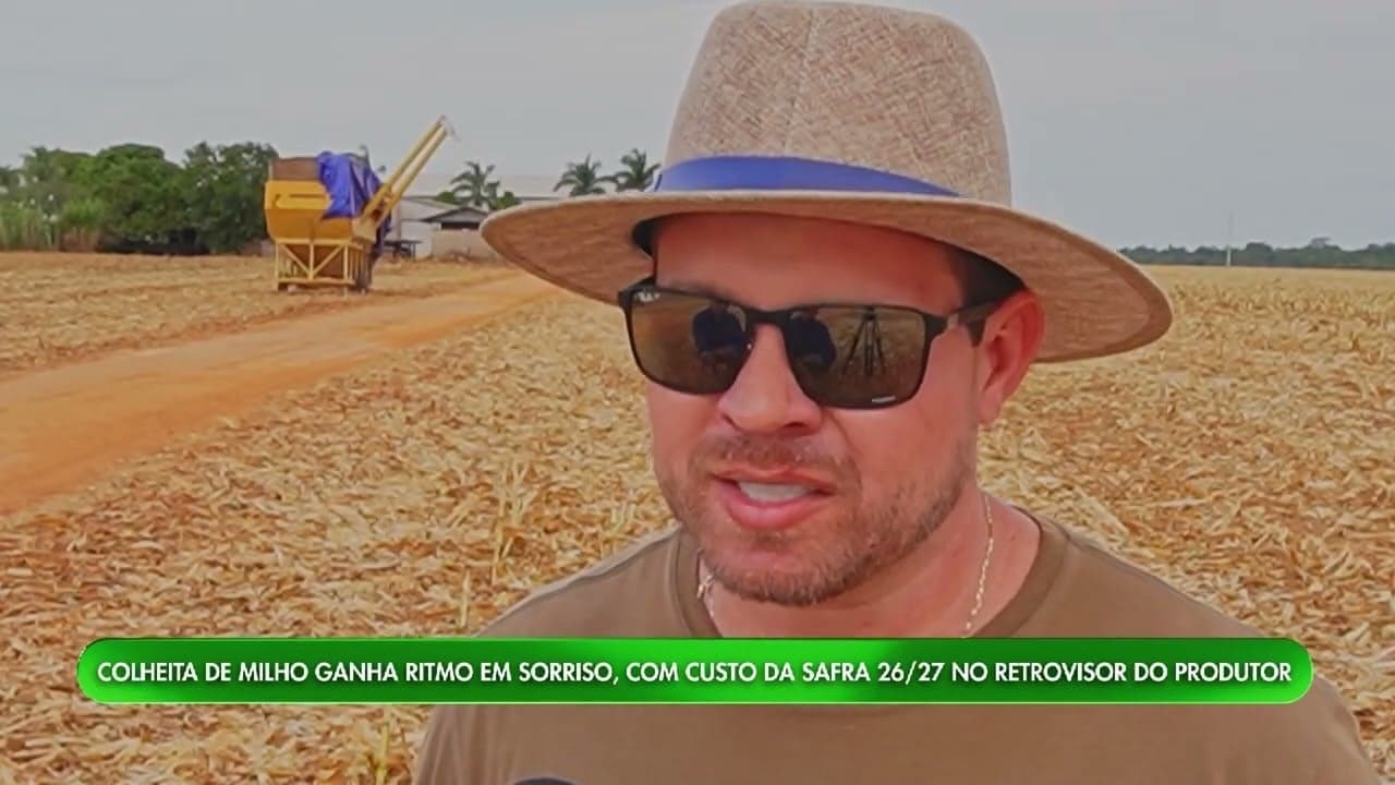 Colheita de milho avança em Sorriso, mas custos preocupam produtor