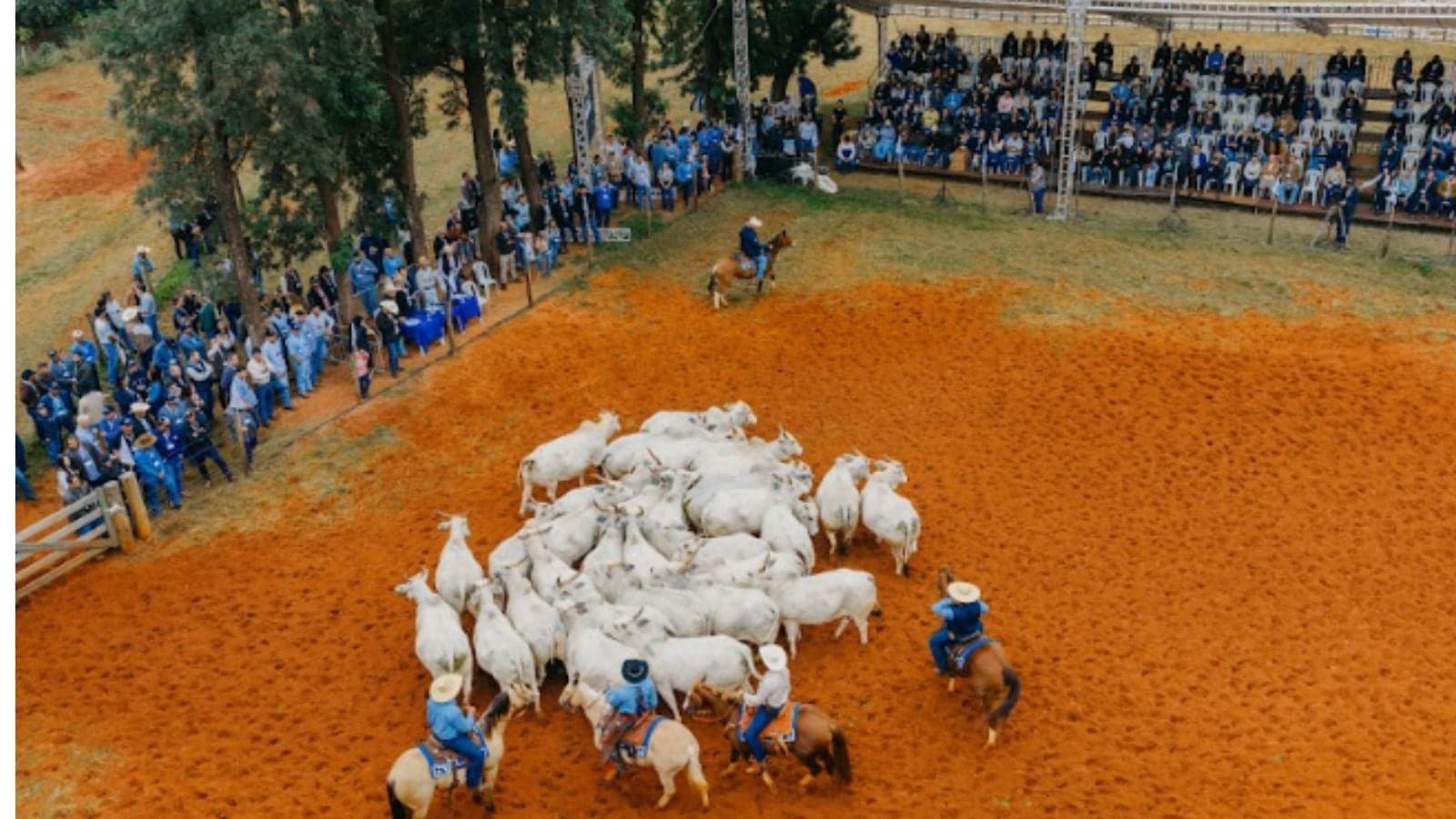 Agropecuária Maragogipe inova com ultrassonografia em Dia de Campo