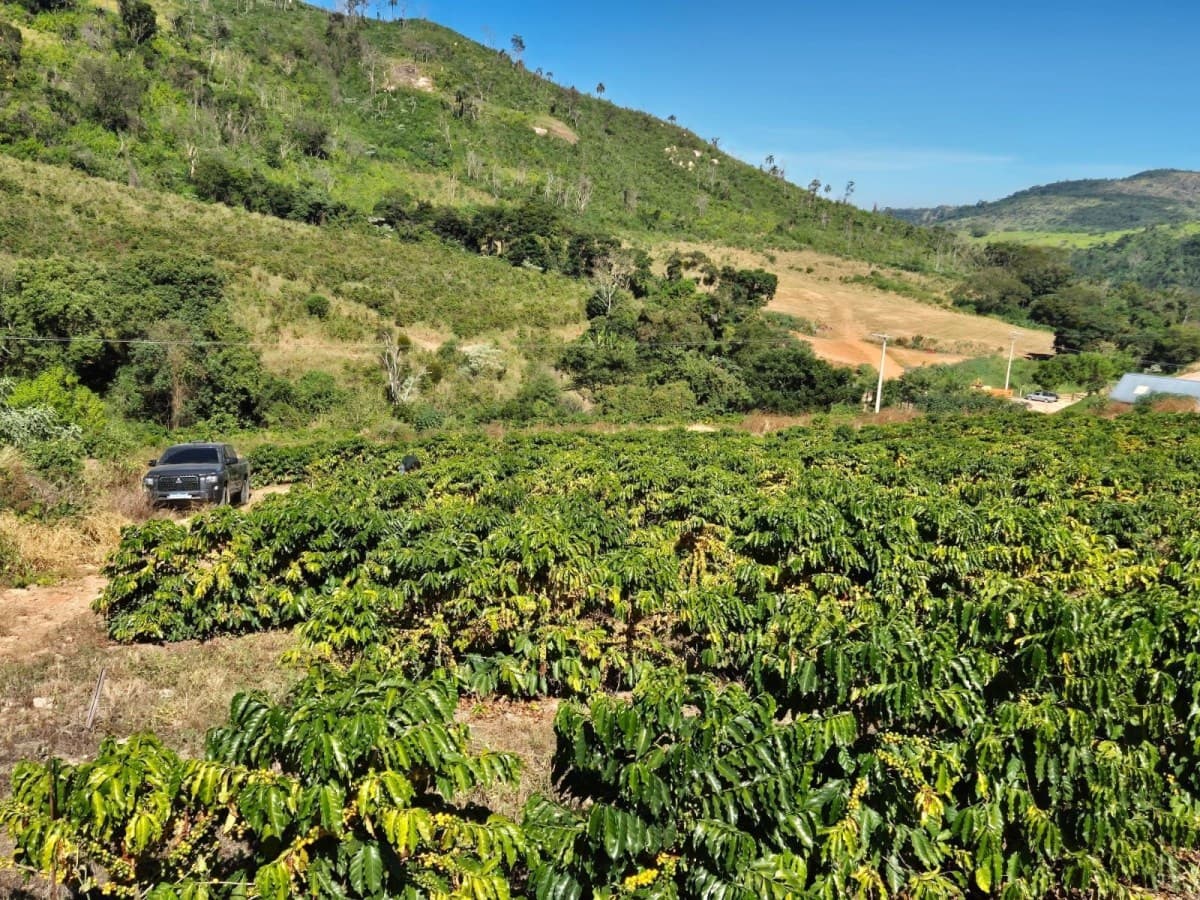 Crescimento agropecuário contrasta com recessão do IBC-Br